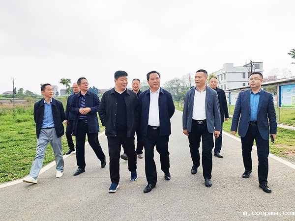 洪市1_78432洪市1