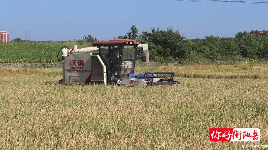 f9289d083fb6a7e2558066cb5da9802091166def1721722632436 (1)