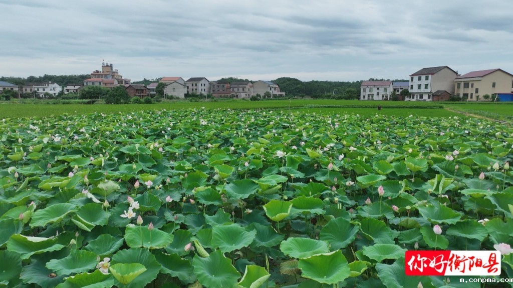 1902c82f6b9e428c92b972d8b30d8835761809271750645210335