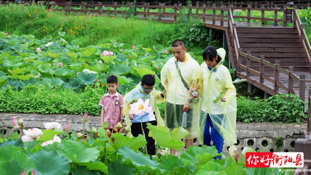 f8551f52f991f0fde8a2d785d09762d55e74824d1750037632704