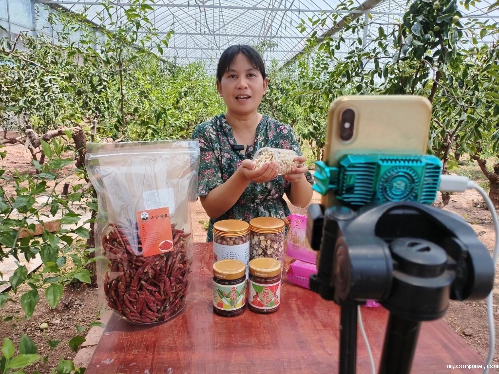 微信图片_20250714152342~1