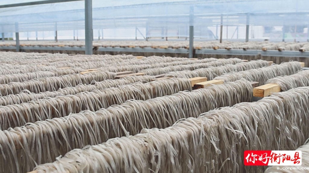 ed242e7d7a7ff75341a8e9060c9933a944292c341757379629309