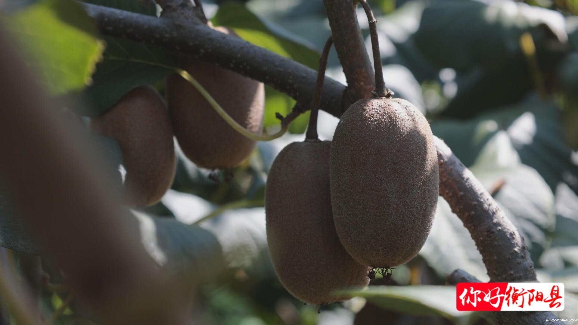 6ca0c379ae8f7e33eb9235e71c3e8ec898eb3d541757984592441